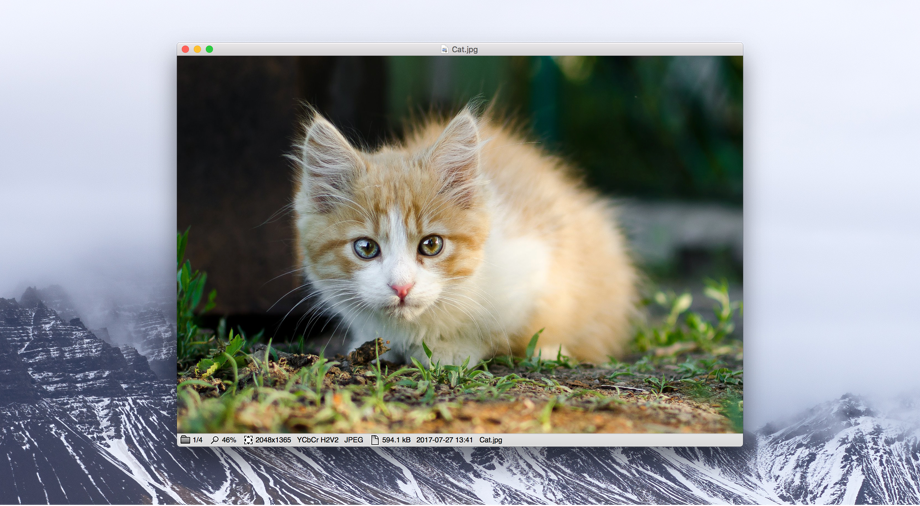 windows photo viewer for mac